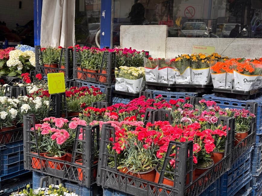 Outdoor display of various potted flowers arranged in black plastic crates outside a shop, including pink, red, white, yellow, and orange blooms, with some wrapped in white paper labeled 'Queen', set 
