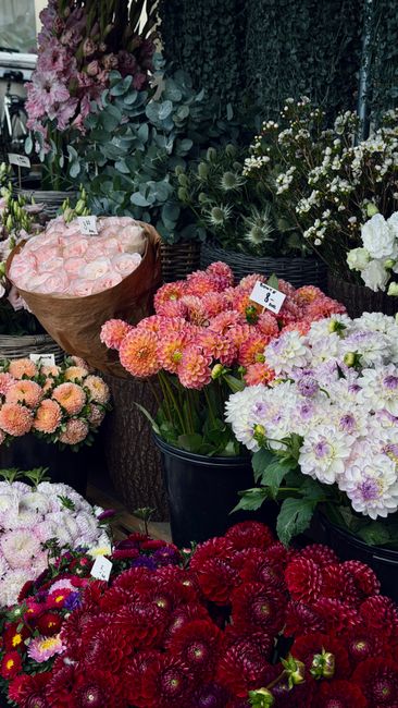 A vibrant display of fresh flowers at a florist stand, featuring a variety of blooms including pink roses, peach and pink chrysanthemums, white and purple primroses, and deep red dahlias. The arrangem
